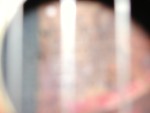 DSCN0354