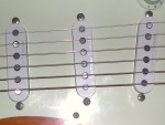 DSCN0355