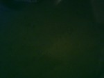 Sun 25 Sep 2005 01:44:15 PM EDT