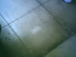 Sun 25 Sep 2005 01:44:16 PM EDT